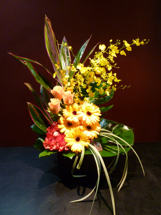 arrangement l-65