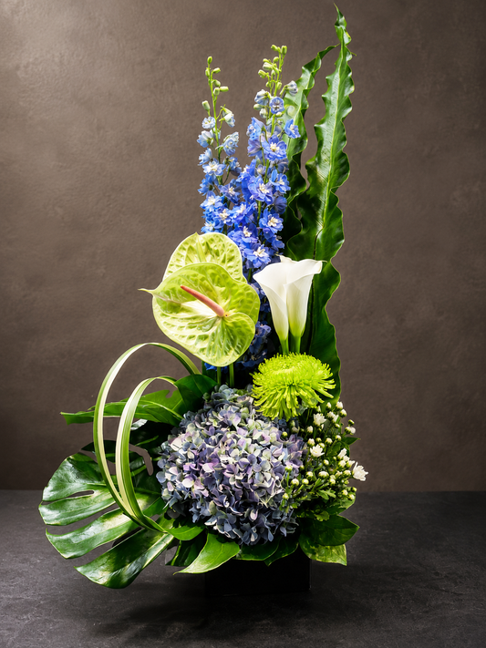 arrangement m-53