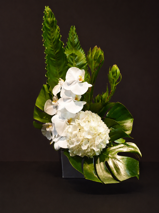 arrangement l-63