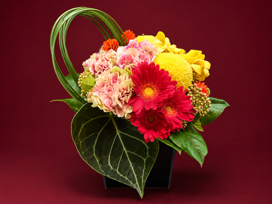 arrangement k-73