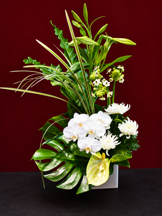 arrangement m-52