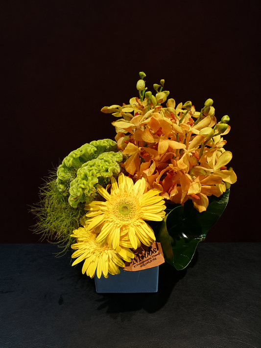 arrangement k-72