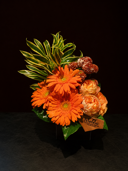 arrangement k-71