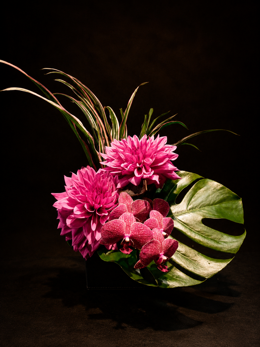 arrangement k-67