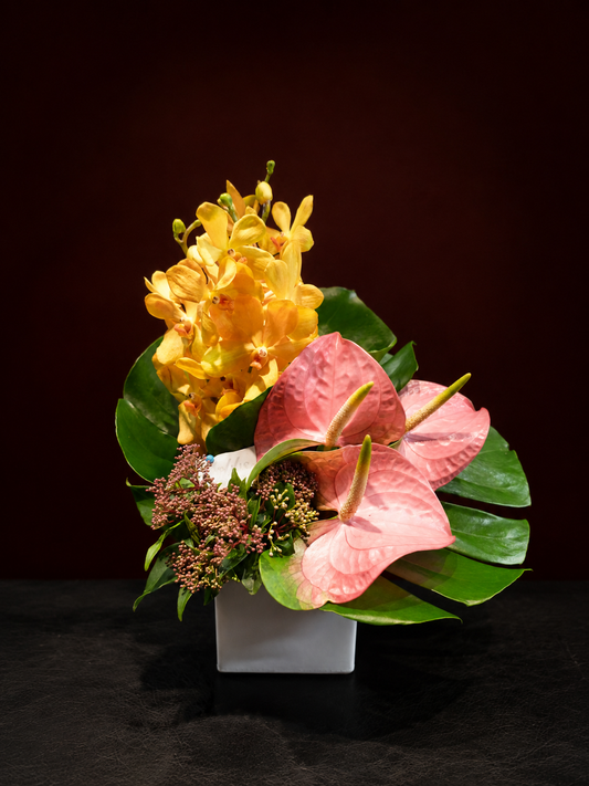 arrangement k-62