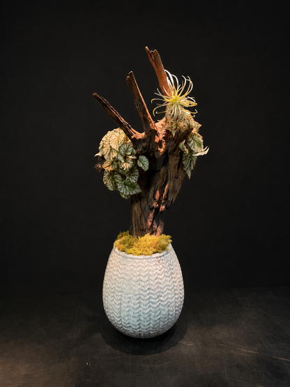 Dried & Fake Flowers 012