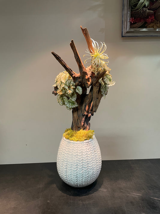 Dried & Fake Flowers 012