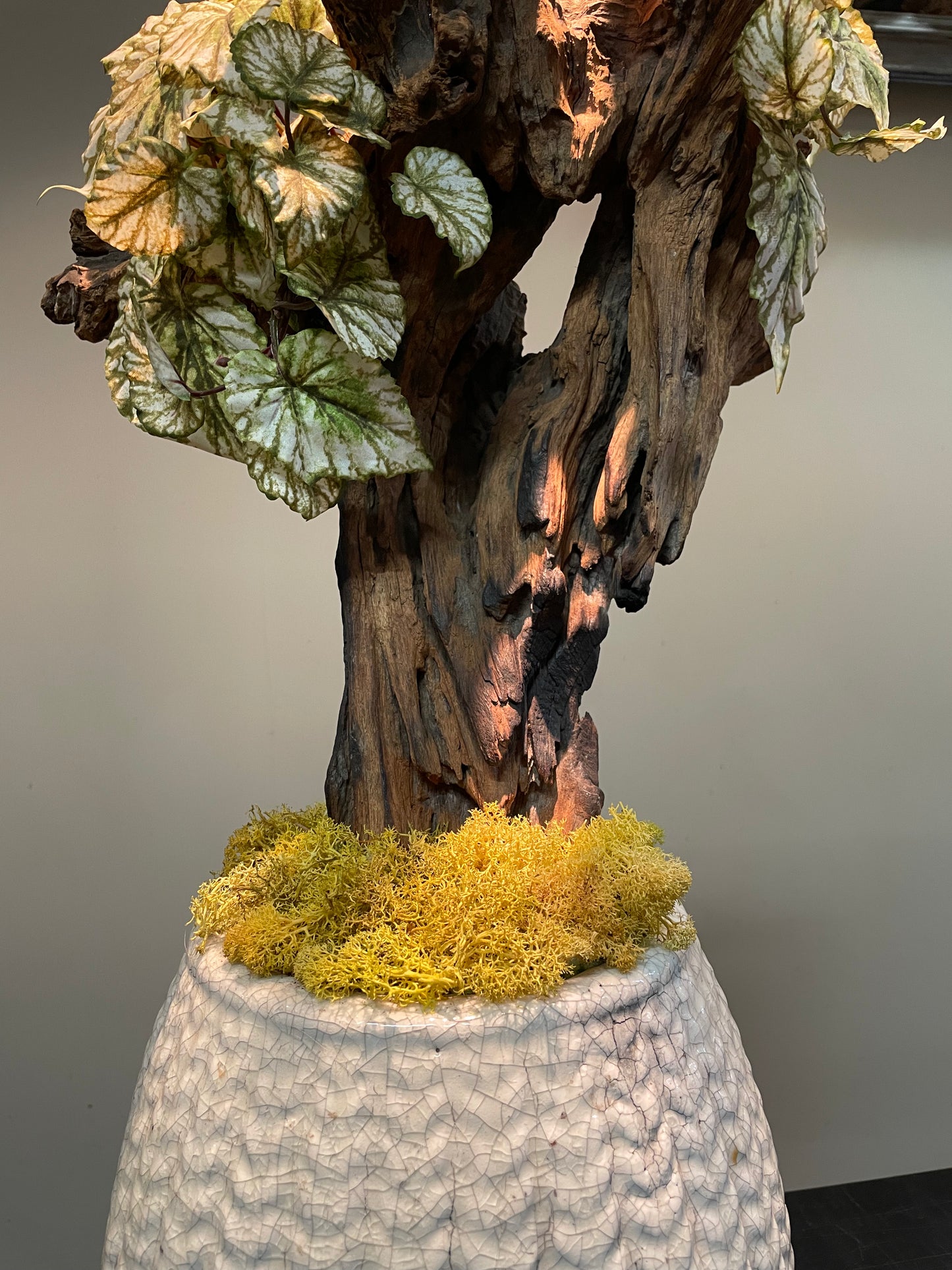 Dried & Fake Flowers 012