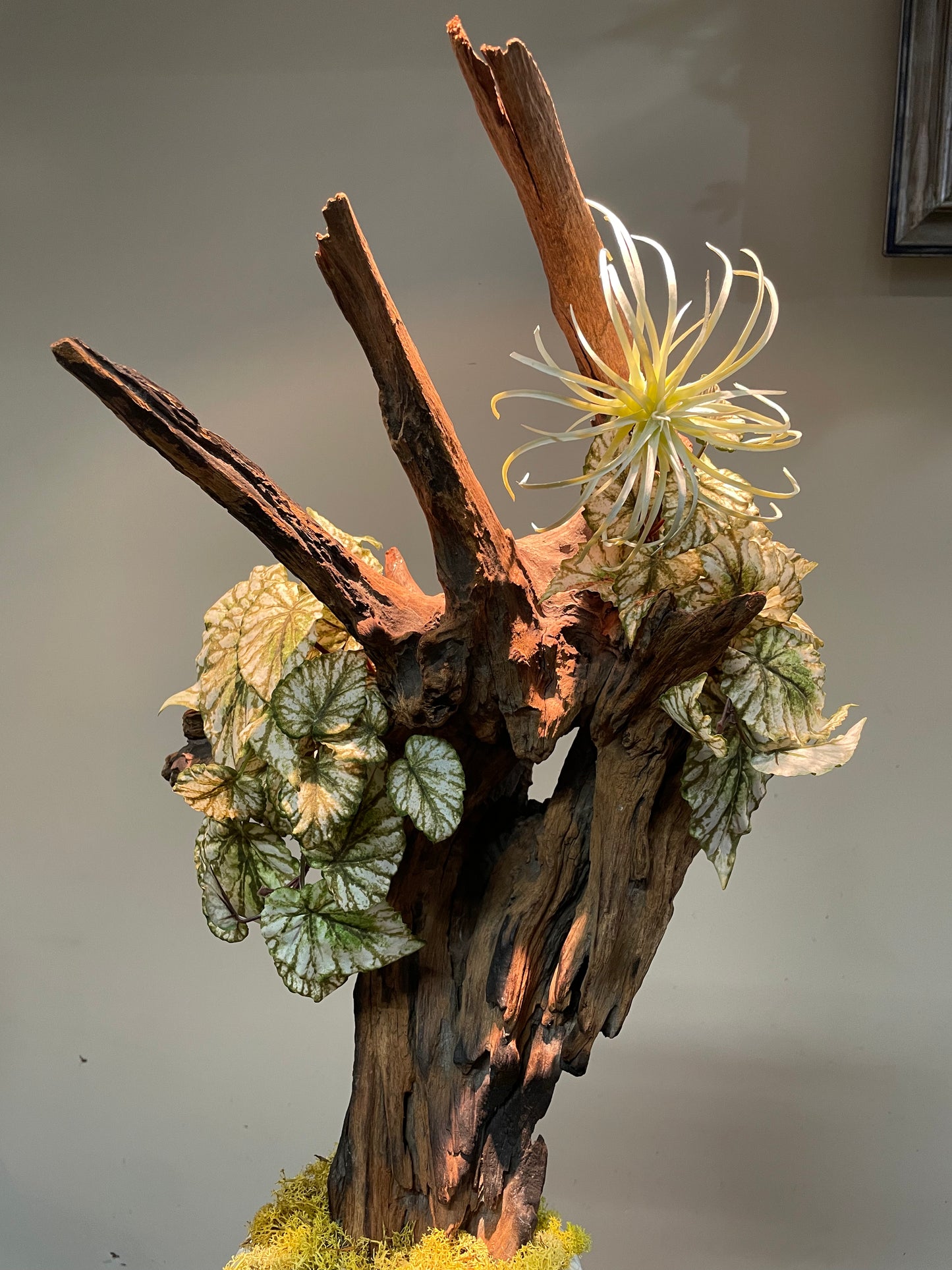 Dried & Fake Flowers 012