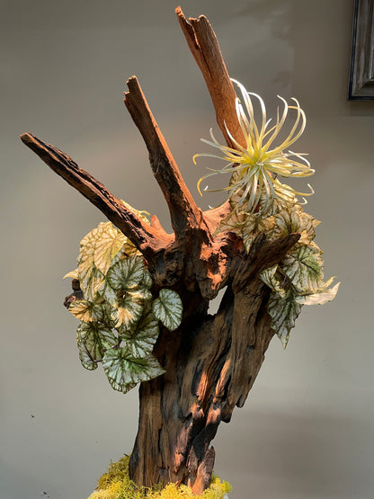 Dried & Fake Flowers 012