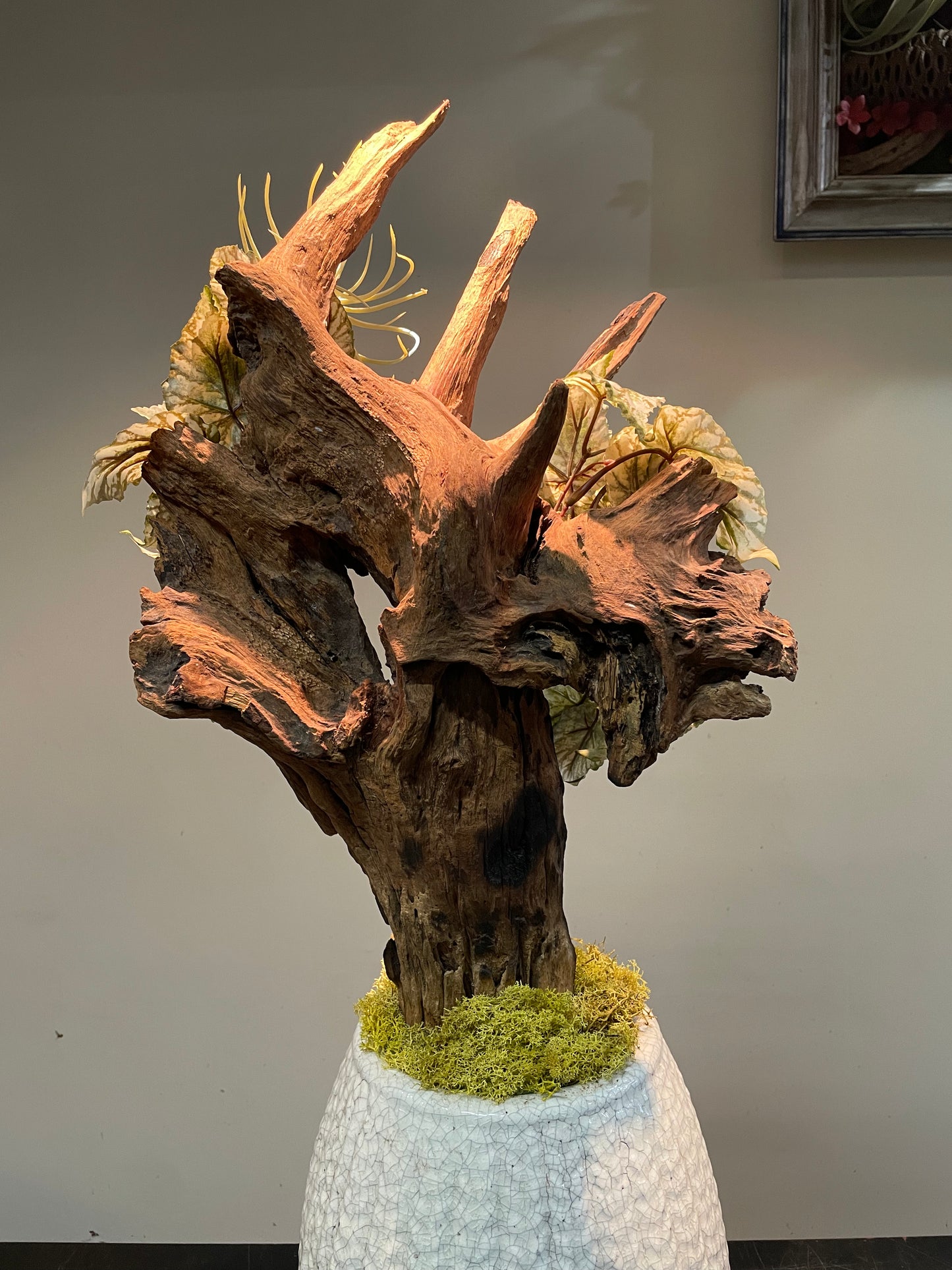 Dried & Fake Flowers 012