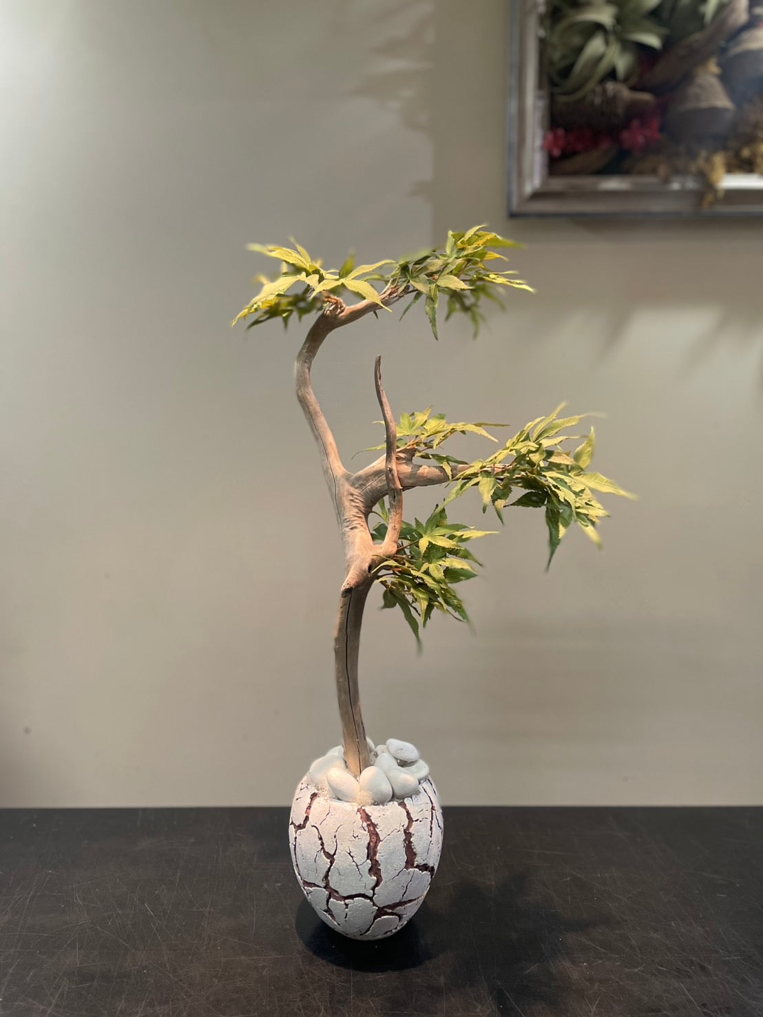 Dried & Fake Flowers 024