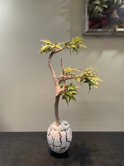 Dried & Fake Flowers 024
