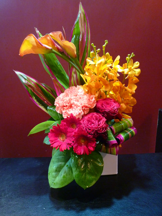 arrangement m-48