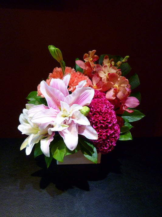 arrangement k-56
