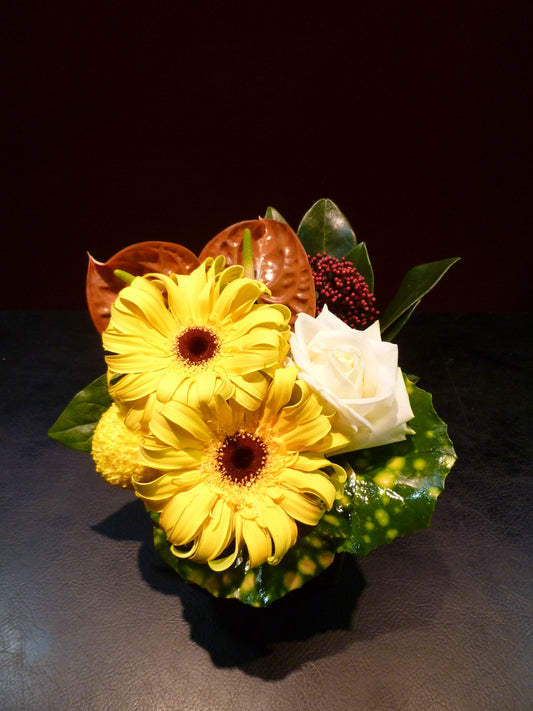 arrangement k-51