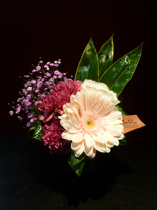 arrangement j-81