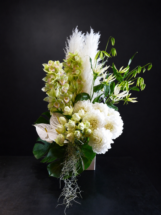 arrangement p-31